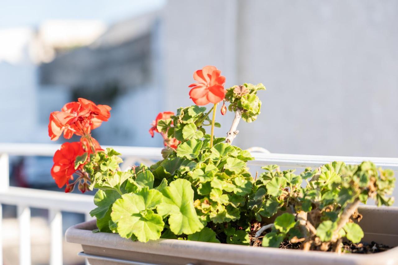 Casa La Calce Apartman Ostuni Kültér fotó